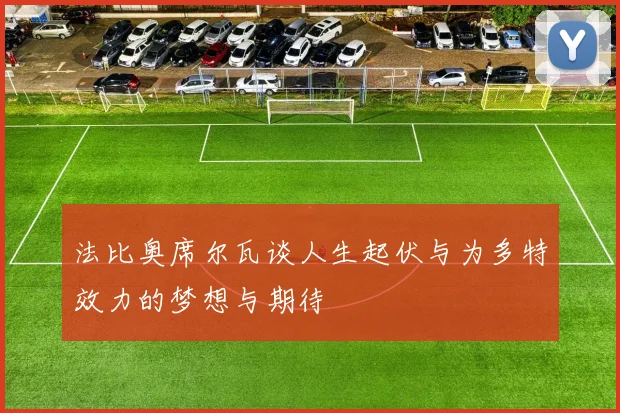 法比奥席尔瓦谈人生起伏与为多特效力的梦想与期待